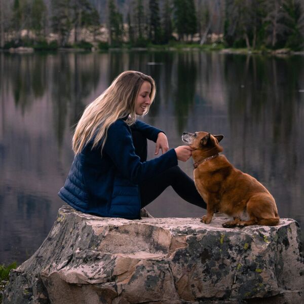 Women’s Narvik hybrid jacket Miniaturansicht