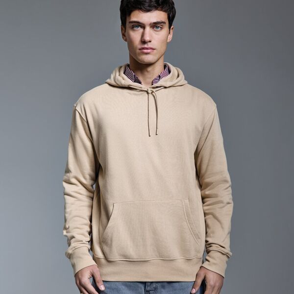 Anthem unisex hoodie Miniaturansicht