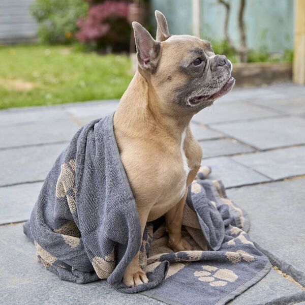 Jumbo terry jacquard dog towel Miniaturansicht