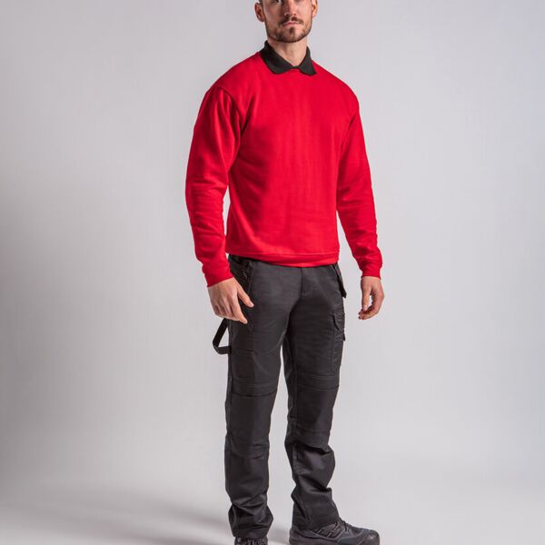 Pro sweatshirt Miniaturansicht