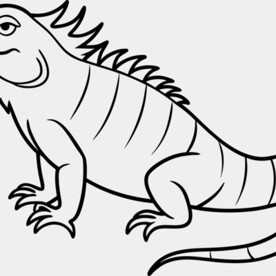 Iguana   Clipart 1 Miniaturansicht