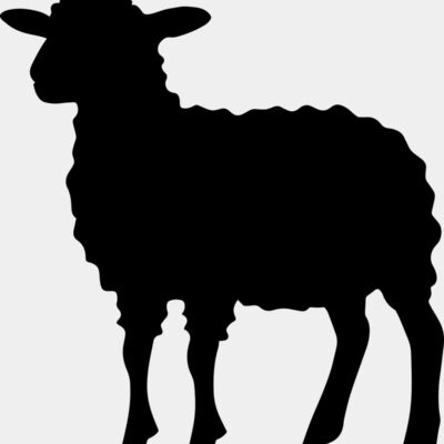 Lamb   Clipart 1 Miniaturansicht