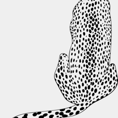 Leopard   Clipart 4 Miniaturansicht