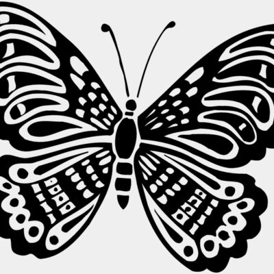 Butterflies Miniaturansicht