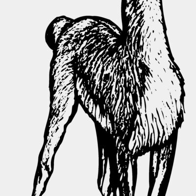 South America Miniaturansicht