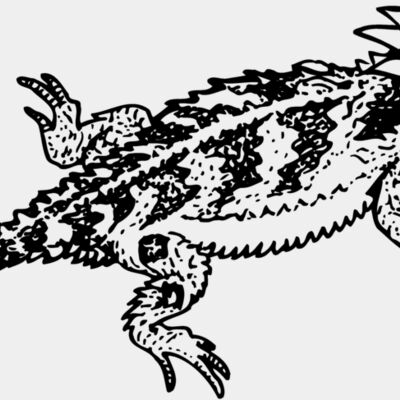 Reptile Miniaturansicht