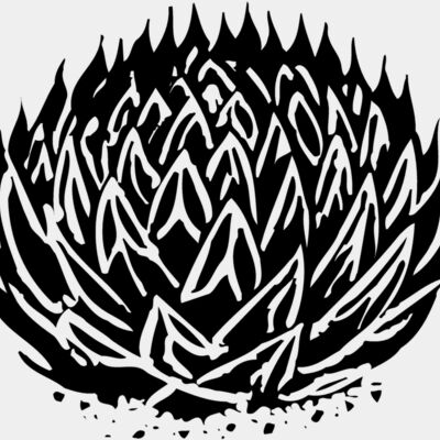 Plants Miniaturansicht