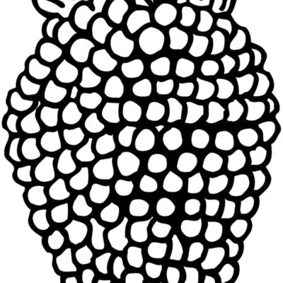 Food Miniaturansicht