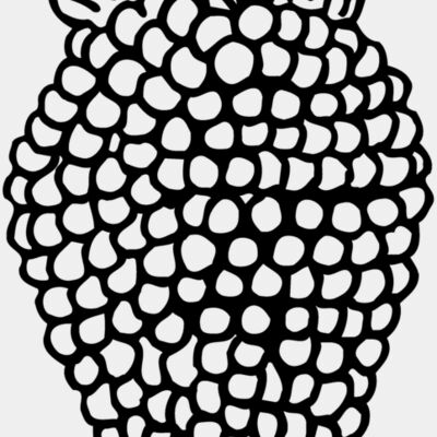 Fruit Miniaturansicht