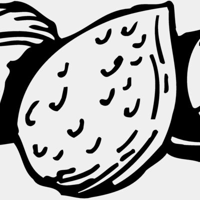 Nuts Miniaturansicht