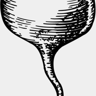 Vegetables Miniaturansicht