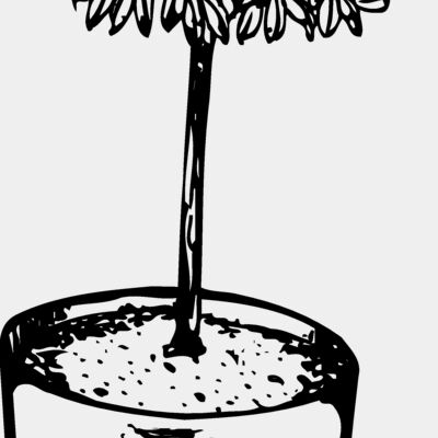 Trees Miniaturansicht